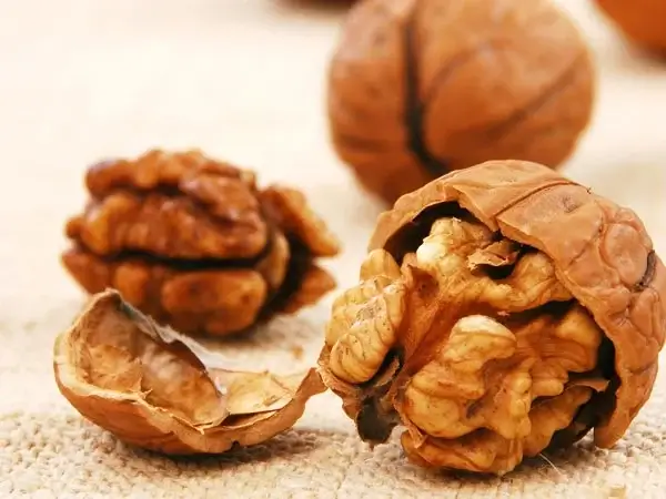 Sử dụng thực phẩm quá cứng là một trong những nguyên nhân làm rớt mắc cài thường gặp
